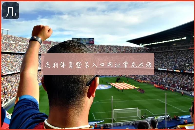 虎利体育登录入口网址常见术语